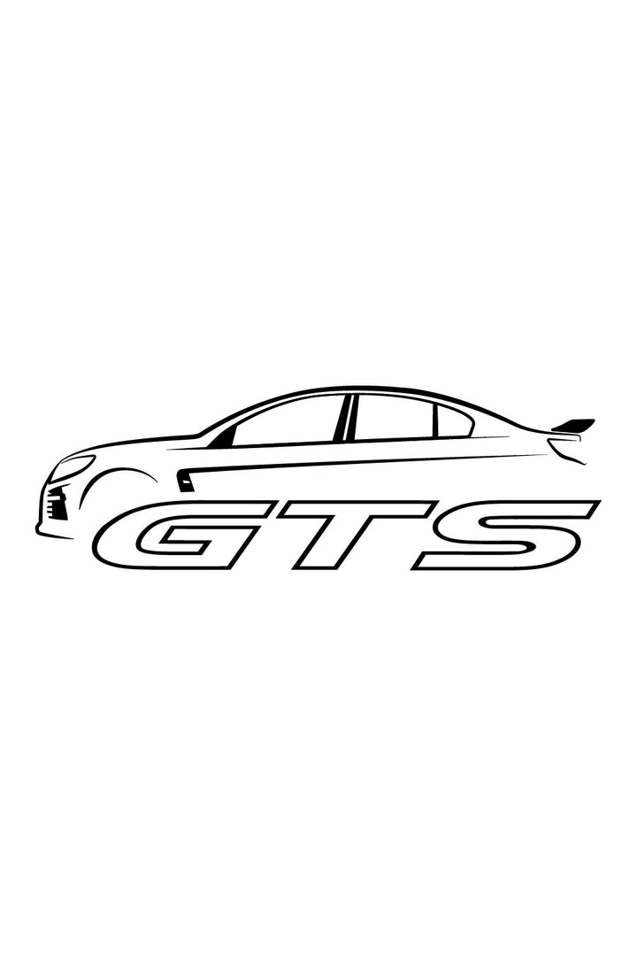 Kids HSV GTS Hoodie (Stealth Range)