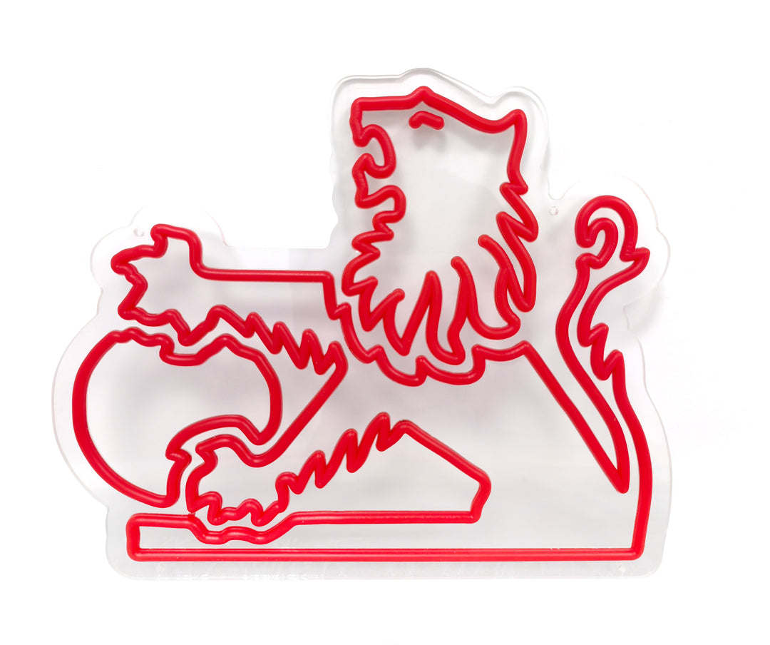 HOLDEN NEON WALL LIGHT